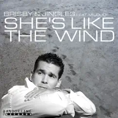 She's Like the Wind (Tim Verba Remix) Song Lyrics