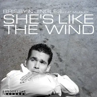 She's Like the Wind (Extended Mix) by Brisby & Jingles song reviws