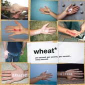 Wheat - I Met A Girl (Album Version)