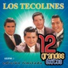 Los Tecolines: 12 Grandes Exitos, Vol. 1