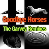 Goodbye Horses artwork