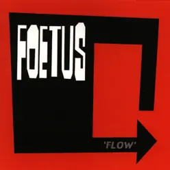 Flow - Foetus