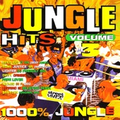 Jungle Hits Volume. 3 artwork