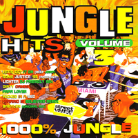 Various Artists - Jungle Hits Volume. 3 artwork