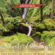 Wind Chimes - Sounds of the Earth