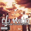 DJ Wild - Intro