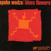 Spoko Wodza artwork