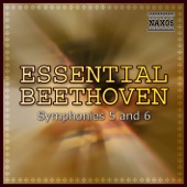 Beethoven: Anthology Vol. 19 artwork
