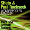 Wonderfooled Remix (Remixes) - Single