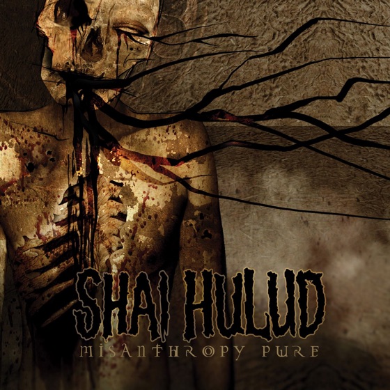 Cover artwork for Set Your Body Ablaze