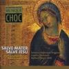 Salve Mater Salve Jesu - Chant and Polyphony from Bohemia 1500