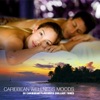 Caribbean Wellness Moods - 20 Caribbean Flavoured Chillout Tunes