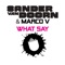 What Say (Koen Groeneveld Remix) - Sander van Doorn & Marco V lyrics