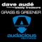 Grass Is Greener (Radio Mix) artwork