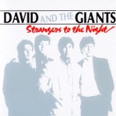 Strangers To The Night artwork