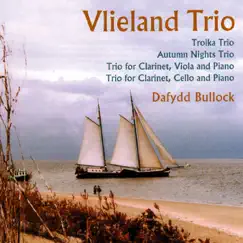 Bullock: Vlieland Trio by Bronislav Procházka, Jindrich Ptácek & Zdena Pelikánová album reviews, ratings, credits