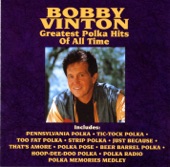 Greatest Polka Hits of All Time artwork
