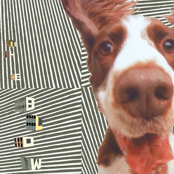 Cover artwork for Where I Love You