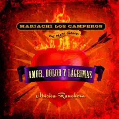 Un Viejo Amor Popurrí: Un Viejo Amor (An Old Love) / un Madrigal (A Madrigal) / Borrachita (Little Drunkard) Song Lyrics