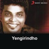 Sangeetha - Paravaigal