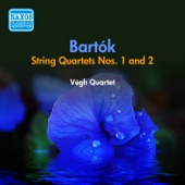 String Quartet No. 2, Op. 17, BB 75: I. Moderato artwork