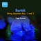 String Quartet No. 2, Op. 17, BB 75: III. Lento artwork