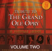 Tribute to the Grand Ole Opry, Vol. 2 (Re-Recorded Versions) artwork