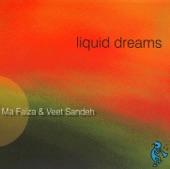 Liquid Dreams, 2007