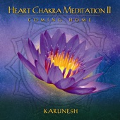 Heart Chakra Meditation II - Coming Home artwork
