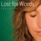 Il N'y a Pas De Mots - Angela Krüsi lyrics