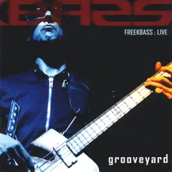 Grooveyard by Freekbass album reviews, ratings, credits
