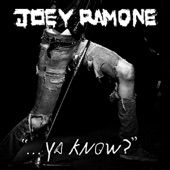 Joey Ramone - I Couldn't Sleep