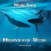 Whale Song - With Music and Sounds of the Ocean - Alpha Brainwave Entrainment artwork