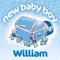 Happy Birthday William - The Teddybears lyrics
