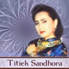 Hits Titiek Sandhora, 1980