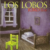 Los Lobos - Two Janes (Live)