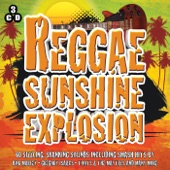 Reggae Sunshine Explosion artwork