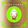 Siddharta, Spirit of Buddha-Bar, Vol. 6