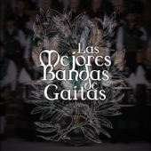 Las Mejores Bandas de Gaitas (The Best Pipe Bands) - Varios Artistas