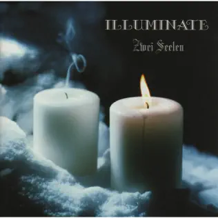 descargar álbum Illuminate - Zwei Seelen