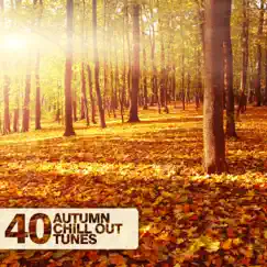 40 Autumn Chill Out Tunes by Various Artists album reviews, ratings, credits