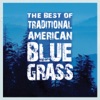 The Best of Traditional American Bluegrass