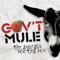 Game Face (Live from Macon 4/13/96) - Gov't Mule lyrics