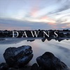 Dawns - Evidence and Answers