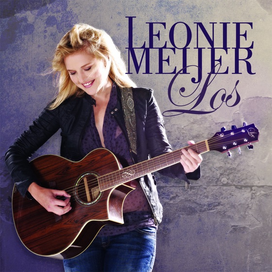 Cover artwork for Schaduw