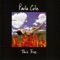 Hush, Hush, Hush. (Album Version) - Paula Cole lyrics