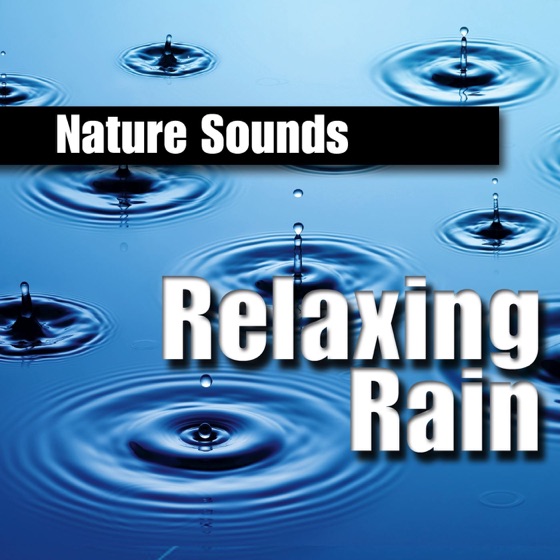 Cover artwork for Meditation On Rain