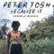 Legalize It (feat. Ranking Joe) - Peter Tosh lyrics