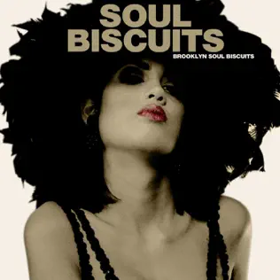 last ned album Brooklyn Soul Biscuits - Soul Biscuits