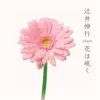 辻井伸行 plays 花は咲く - EP album lyrics, reviews, download